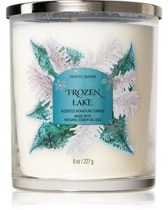 Bath & Body Works Frozen Lake candela profumata 227 g