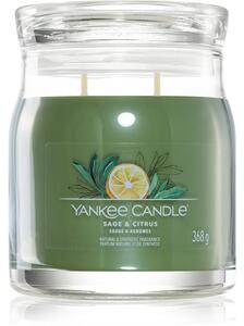 Yankee Candle Sage & Citrus candela profumata Signature 368 g