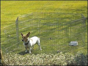 Recinto Savic Dog Park 1 61 cm