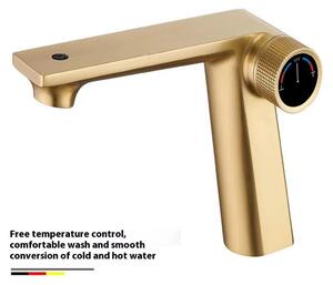 Miscelatore monocomando per lavabo – Miscelatore con due bocchette – Adatto per acqua calda e fredda – Da montare sul lavabo – Acciaio inossidabile, valvola in ottone – Finitura dorata