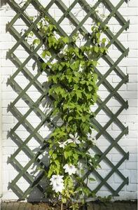Traliccio da giardino naturale 50x150 cm in legno verde