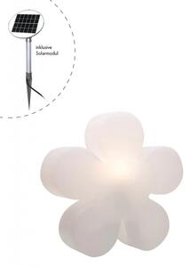 Luce da giardino "Shining Flower Solar" 40 incl. unità solare LED Bianco caldo Bianco