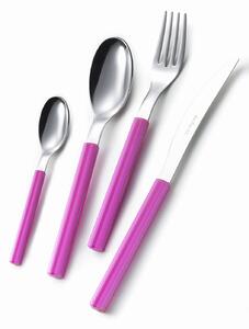 Servizio Set di Posate 24 Pezzi in Acciaio Eme Sky Fucsia 239