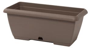 Cassetta portafiori Terrae in polipropilene colore beige H 16.7 x L 50 x P 50 cm