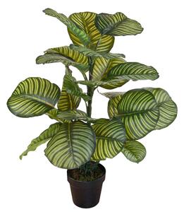 Pianta Artificiale Calathea in Vaso con 22 Foglie H 85 cm