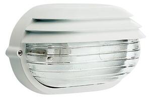 Lampada Applique Ovale Grande Colore Bianco per Esterno Linea Palpebra Sovil