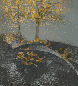 Illustrazione Falling leaves, Nel Talen, (35 x 40 cm)