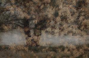 Illustrazione Pine tree, Nel Talen, (40 x 26.7 cm)