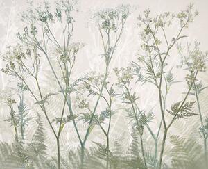 Illustrazione Cow parsley, Nel Talen, (40 x 35 cm)