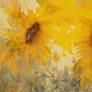 Illustrazione Sunflower, Nel Talen, (40 x 40 cm)