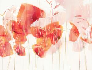Illustrazione Modern poppies, Nel Talen, (40 x 30 cm)