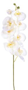 Set 8 Phalaenopsis Artificiali con 8 Fiori Altezza 65 cm Bianco