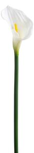 Set 4 Fiori Artificiali di Calla Singola Altezza 74 cm Bianco