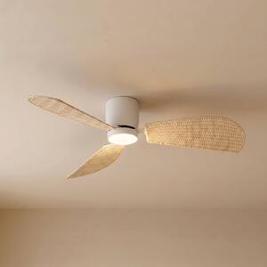 Ventilatore da soffitto LED Lucande Faipari, bianco/rattan, DC, 132 cm Faipari, Bianco / Opale, Soggiorno / Sala da pranzo, Legno, Moderno