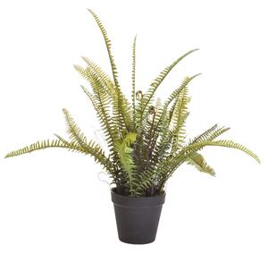 Felce Boston Artificiale con Vaso Altezza 61 cm Verde