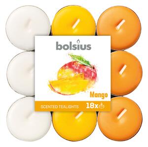 Tealight BOLSIUS essenza mango Ø 19.5 cm H 3 cm, 18 pezzi
