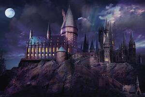 Stampa d'arte Harry Potter - Hogwarts night, (40 x 26.7 cm)