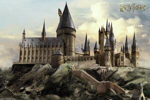 Stampa d'arte Harry Potter - Hogwarts, (40 x 26.7 cm)