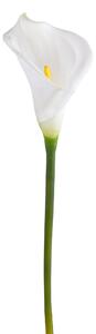 Set 6 Fiori Artificiali di Calla Semi Aperta Altezza 66 cm Bianco