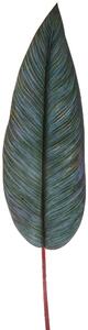 Set 6 Foglie di Strelitzia Artificiale Altezza 83 cm Verde
