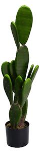 Pianta cactus con vaso tondo cm Ø14xh84