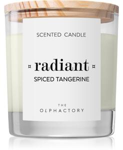 Ambientair The Olphactory Spiced Tangerine candela profumata Radiant 200 g