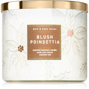 Bath & Body Works Blush Poinsettia candela profumata 411 g