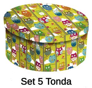 Set 5 Scatole cartone gufi