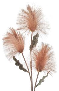 Callistemone bronzo