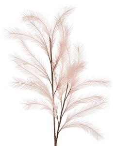Pampas rosa