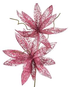 Magnolia porpurea ribes