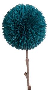 Allium avio