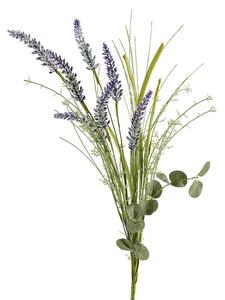 Lavanda