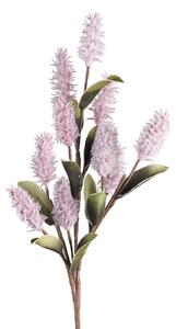 Pink Mulla Mulla