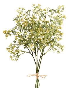 Gypsofila Verde