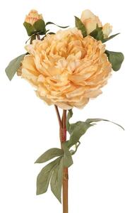 Peonia gialla