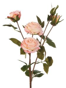 Rose rosa chiaro