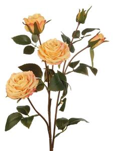 Rose gialle