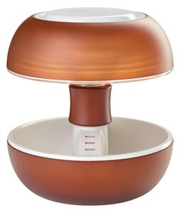 Lampada da tavolo con lampadina inclusa LED stile design naturale Joyo verde USB