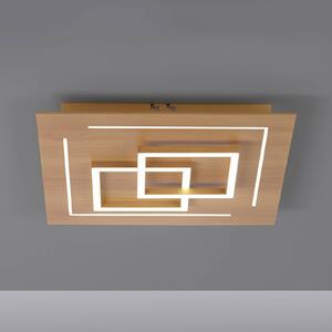 Q-Smart-Home Paul Neuhaus Q-LINEA LED plafone decoro legno 40cm
