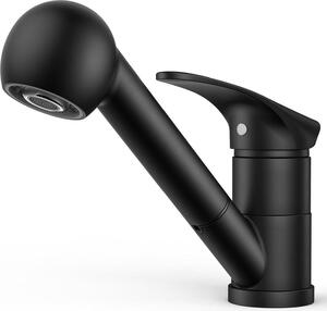 Miscelatore da cucina FORIOUS in acciaio inox nero con doccetta girevole a 360°