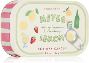Paddywax Bistro Meyer Lemon candela profumata 127 g