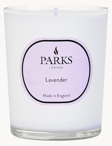 Candela profumata Vntage Aromatherapy (lavanda)