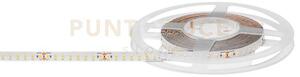 Gst181c- striscia led 5mt 3000k 8950lm 12w/m ip20