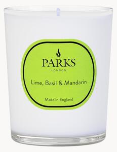 Candela profumata Vintage Aromatherapy (lime, basilico & mandarino)