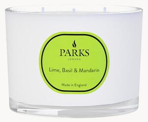 Candela profumata a tre stoppini Vintage Aromatherapy (lime, basilico & mandarino)