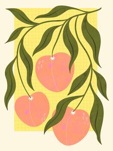 Illustrazione Peaches, Melissa Donne