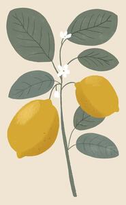 Illustrazione Lemon flower, Katarzyna Gąsiorowska