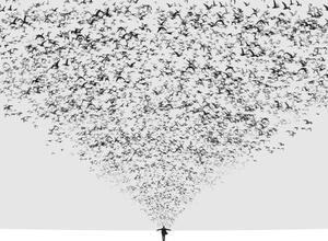 Fotografia The Dark Half, Hossein Zare