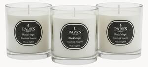 Set di 3 candele profumate fatte a mano Black Magic (pompelmo, mandarino & muschio bianco)